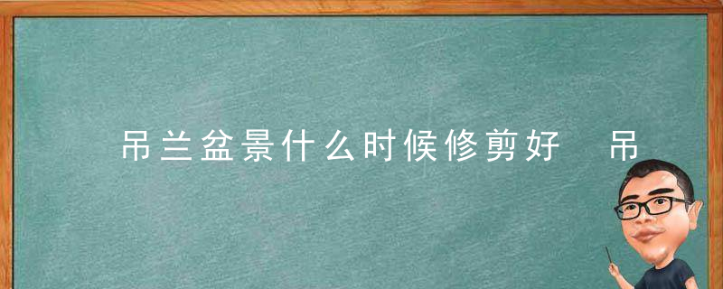 吊兰盆景什么时候修剪好 吊兰盆景啥时候修剪好